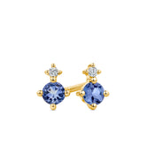 Petite Tanzanite & Diamond Earrings in 9ct Yellow Gold - Wallace Bishop