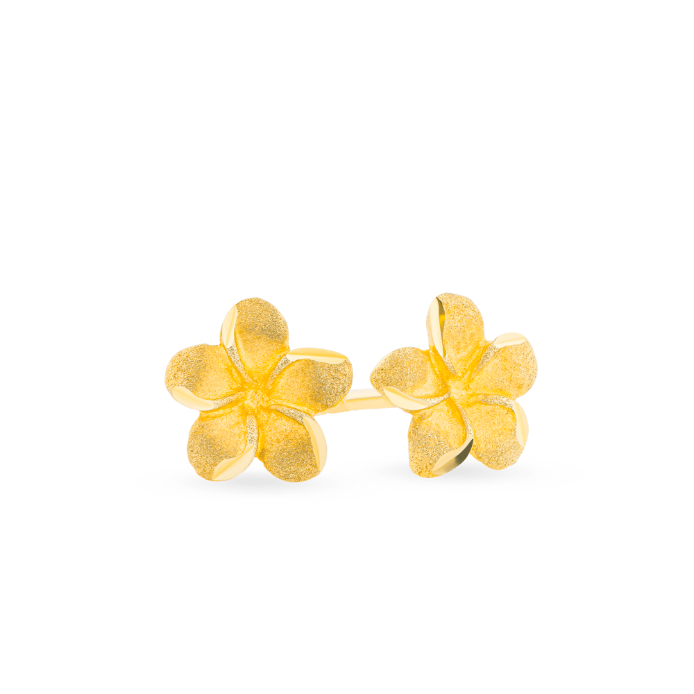 Polished Flower Stud Earrings in 9ct Yellow Gold - Wallace Bishop