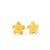 Polished Flower Stud Earrings in 9ct Yellow Gold - Wallace Bishop