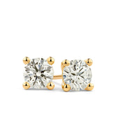 Rendition Solitaire Earrings in 9ct Yellow Gold - Wallace Bishop
