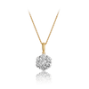 Round Brilliant Cut Diamond Pendant in 9ct Yellow Gold - Wallace Bishop