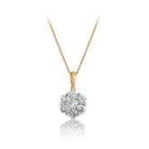 Round Brilliant Cut Diamond Pendant in 9ct Yellow Gold - Wallace Bishop