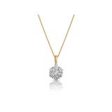 Round Brilliant Cut Diamond Pendant in 9ct Yellow Gold - Wallace Bishop