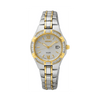 Seiko Conceptual & Regular Women's Two-Tone Solar Watch SUT426P - Wallace Bishop