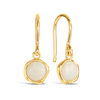 Solid Opal Earrings in 9ct Yellow Gold - Wallace Bishop