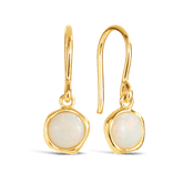 Solid Opal Earrings in 9ct Yellow Gold - Wallace Bishop