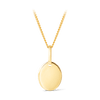 Solid Oval Shape Pendant in 9ct Yellow Gold - Wallace Bishop