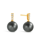 Tahitian Pearl & Diamond Bail Drop Earrings in 9ct Yellow Gold - Wallace Bishop