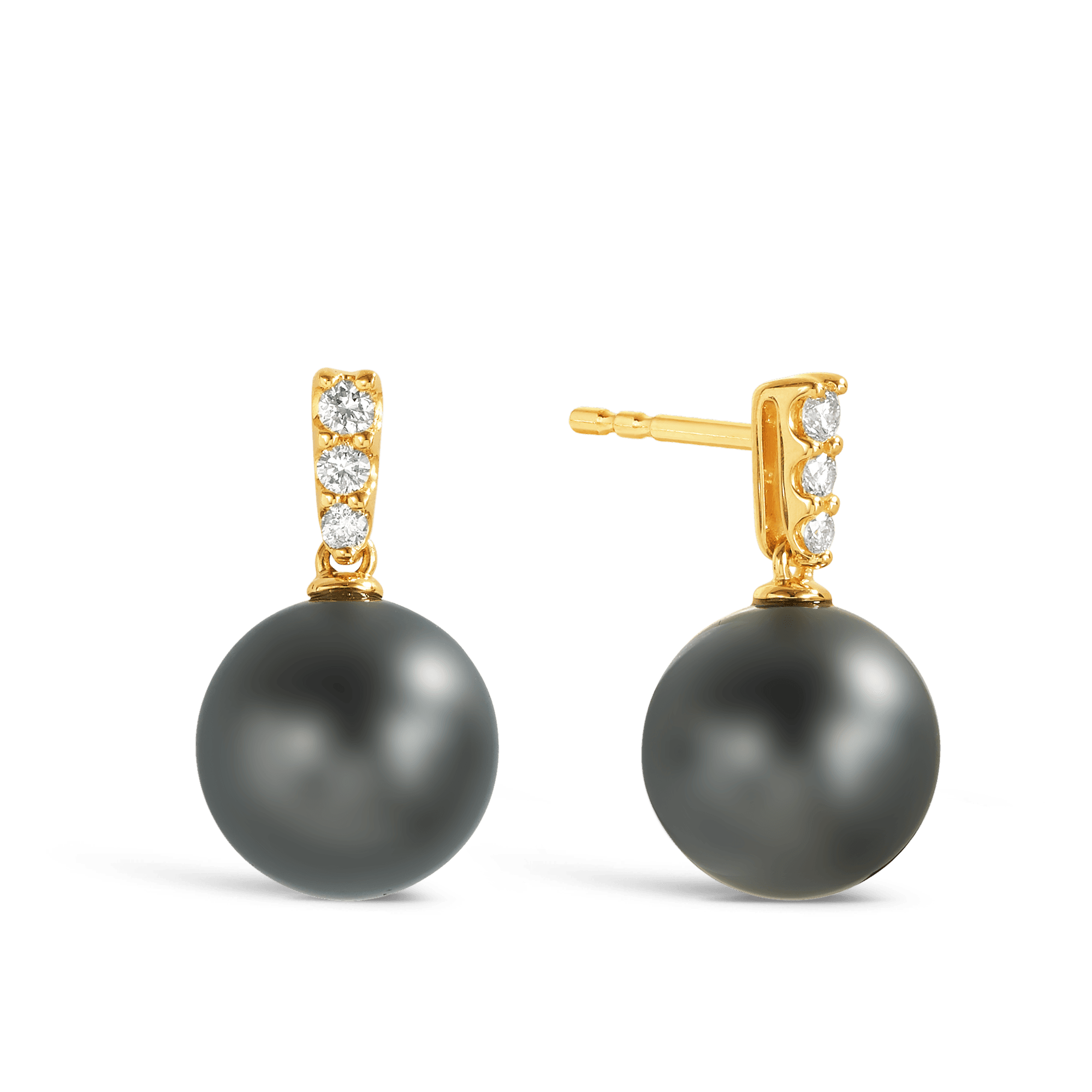 Tahitian Pearl & Diamond Bail Drop Earrings in 9ct Yellow Gold - Wallace Bishop