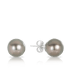 Tahitian Pearl Stud Earrings in 18ct White Gold - Wallace Bishop