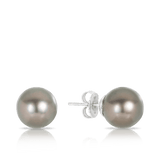 Tahitian Pearl Stud Earrings in 18ct White Gold - Wallace Bishop