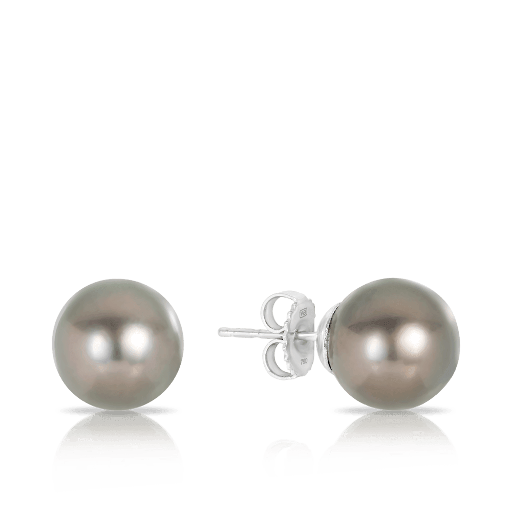 Tahitian Pearl Stud Earrings in 18ct White Gold - Wallace Bishop