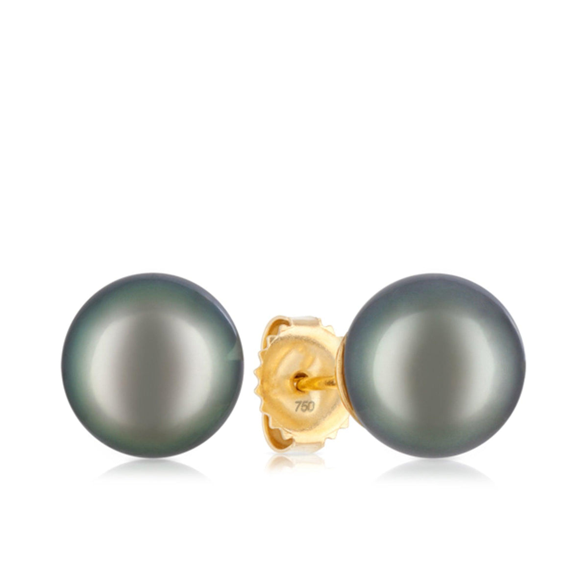 Tahitian Pearl Stud Earrings in 18ct Yellow Gold - Wallace Bishop