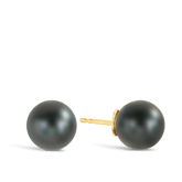 Tahitian Pearl Stud Earrings in 9ct Yellow Gold - Wallace Bishop