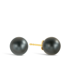 Tahitian Pearl Stud Earrings in 9ct Yellow Gold - Wallace Bishop