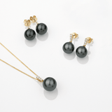 Tahitian Pearl Stud Earrings in 9ct Yellow Gold - Wallace Bishop