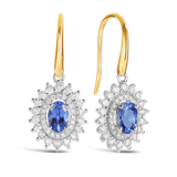 Tanzanite & Diamond Double Halo Drop Earrings in 9ct Yellow & White Gold - Wallace Bishop