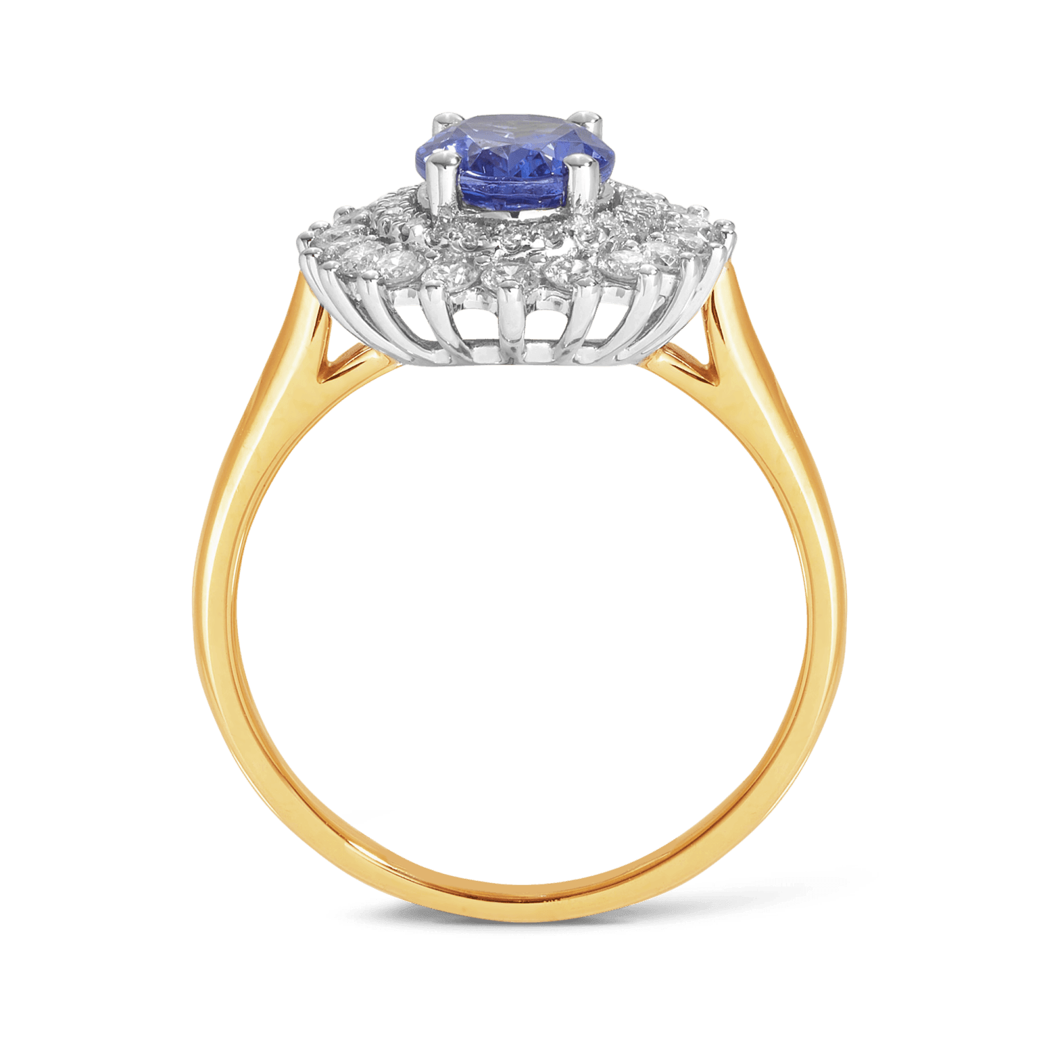 Tanzanite & Diamond Double Halo Ring in 9ct Yellow & White Gold - Wallace Bishop