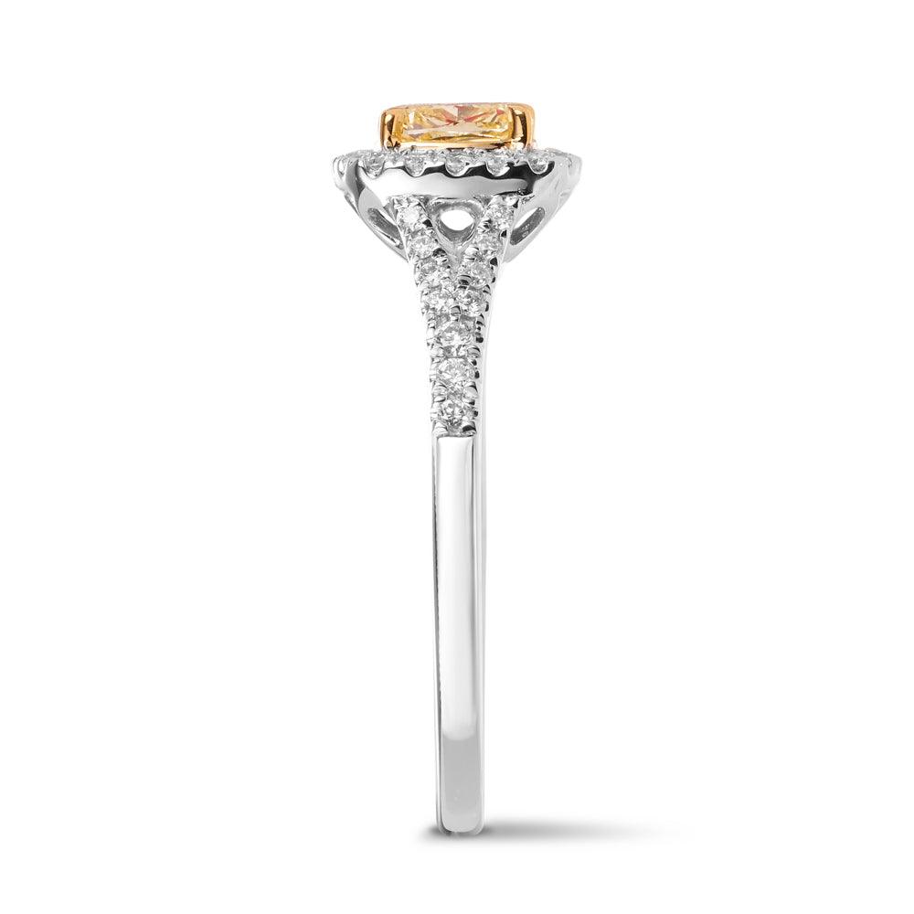 Yellow Diamond Ring in 18ct White and Yellow Gold - Wallace Bishop