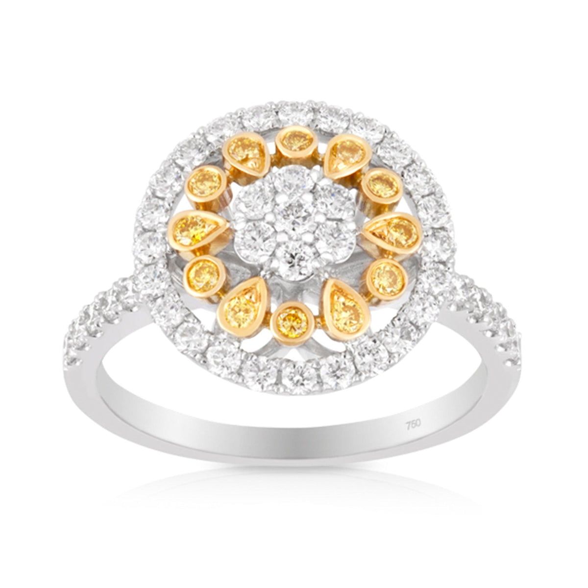 Yellow Diamond Ring in 18ct Yellow and White Gold - Wallace Bishop