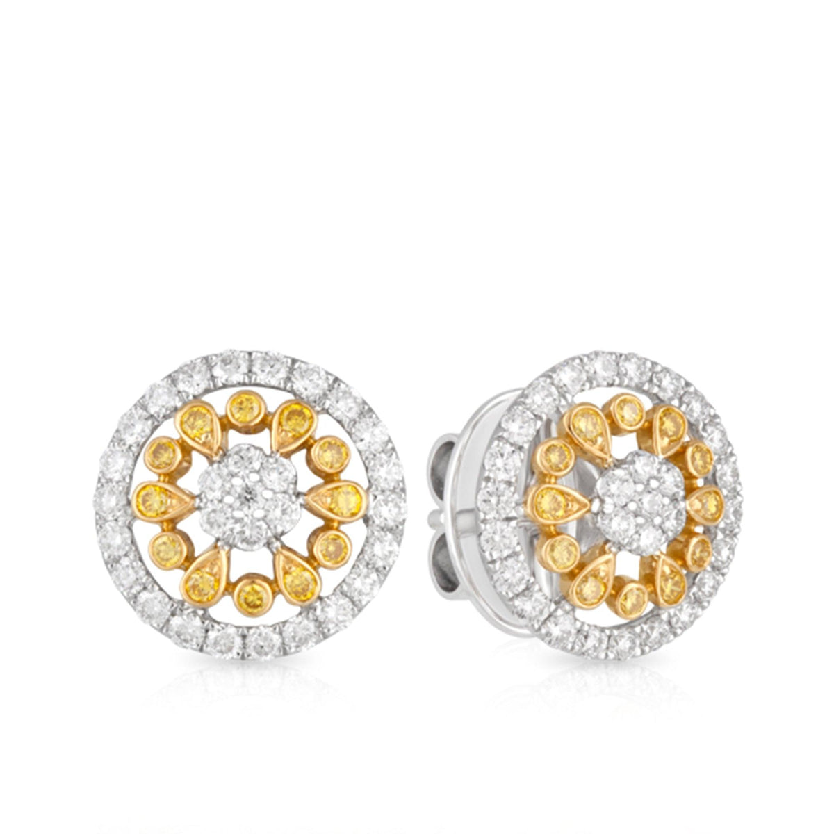 Yellow Diamond Round Brilliant Cut Earrings in 18ct Yellow and White Gold - Wallace Bishop